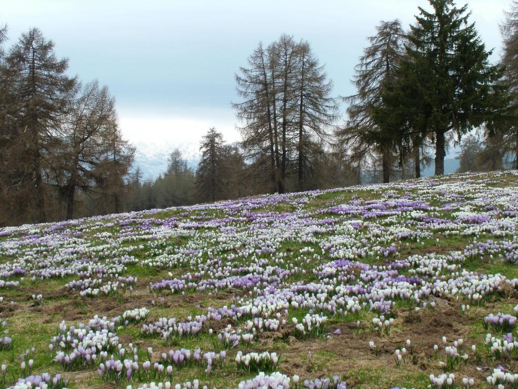 Kastnerhof Villa Мелтина Екстериор снимка